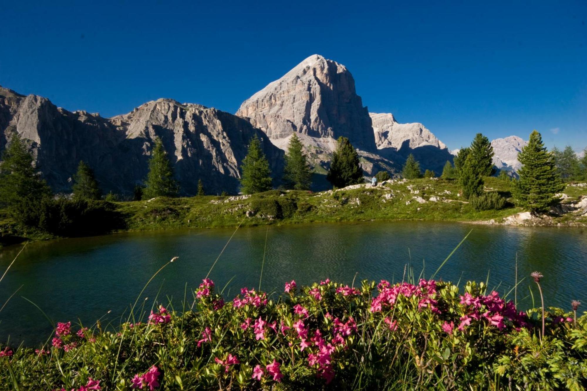 Ciasa Vervei Кортина-д'Ампеццо Экстерьер фото